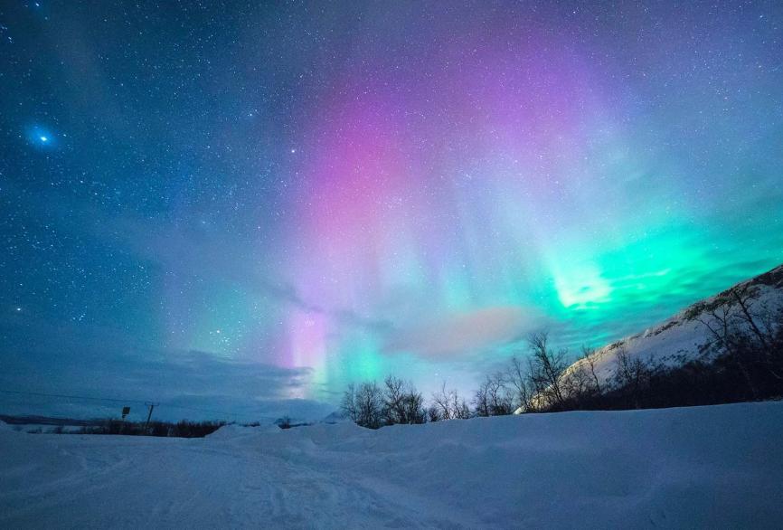 Cesine Actualidad/ News - Elsa Rodriguez