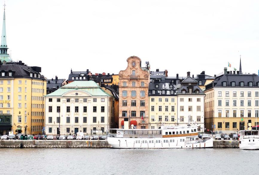 Cesine Actualidad/ News - Maria Aguado